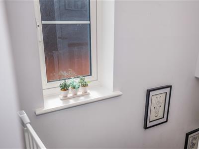 Picture 13